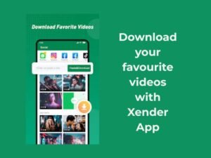 tiktok video downloader