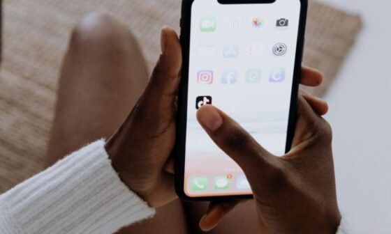 tiktok video downloader (without Watermark)