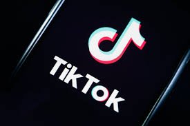 TikTok Video Downloader: No Watermark, Free for Nigerians